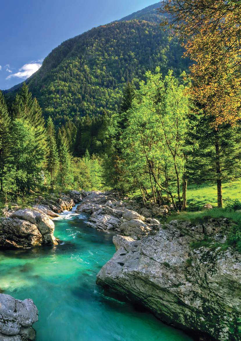 Pure Natural Inspiration & Ecological Living